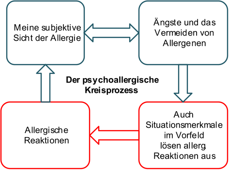 Auch  Situationsmerkmale  im Vorfeld lösen allerg .  Reaktionen aus Allergische  Reaktionen Meine subjektive  Sicht der Allergie Ängste und das  Vermeiden von  Allergenen  Der psychoallergische  Kreisprozess